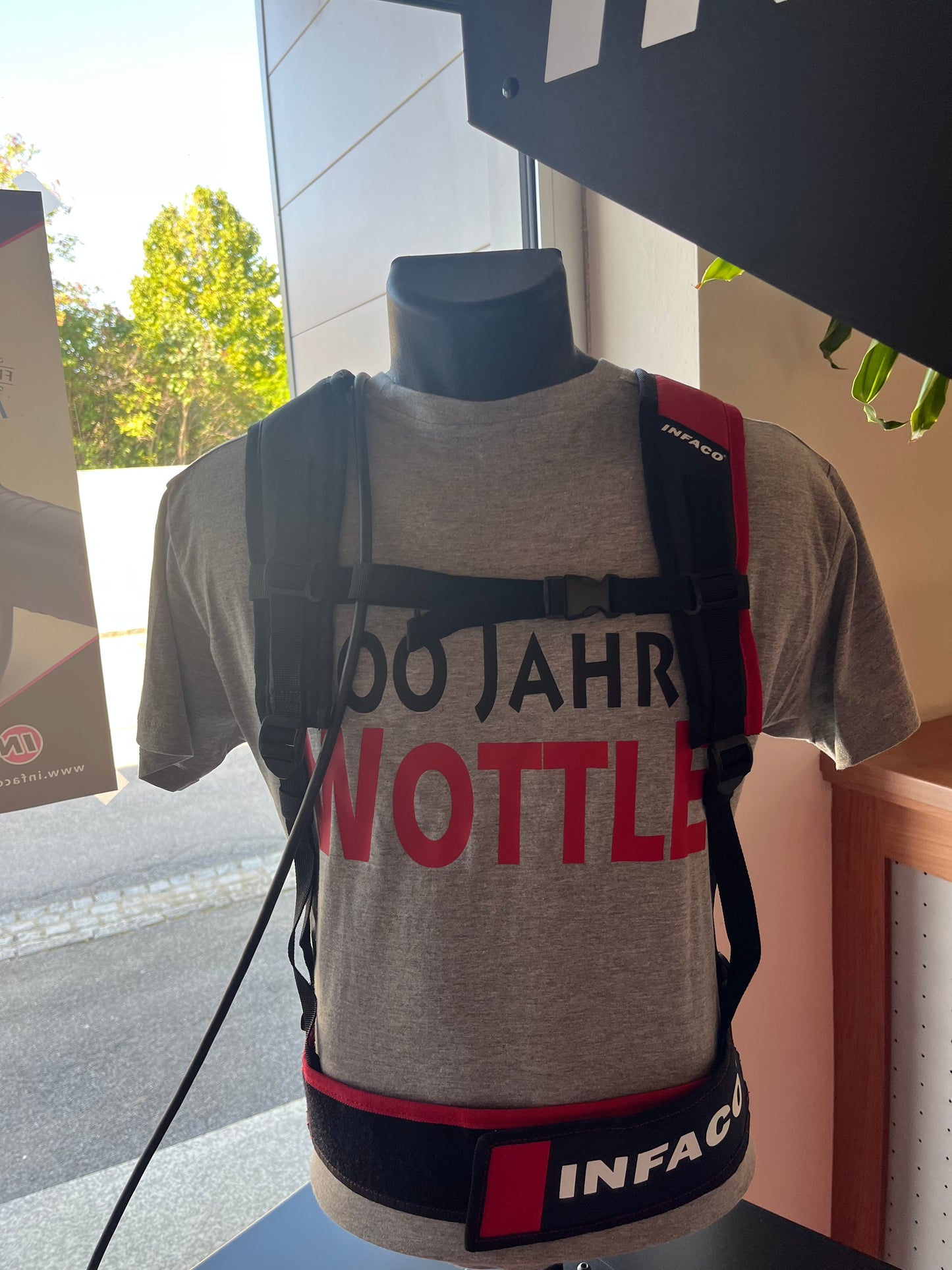 elektrische Astschere Electrocoup F 3020 (kompl. Set)